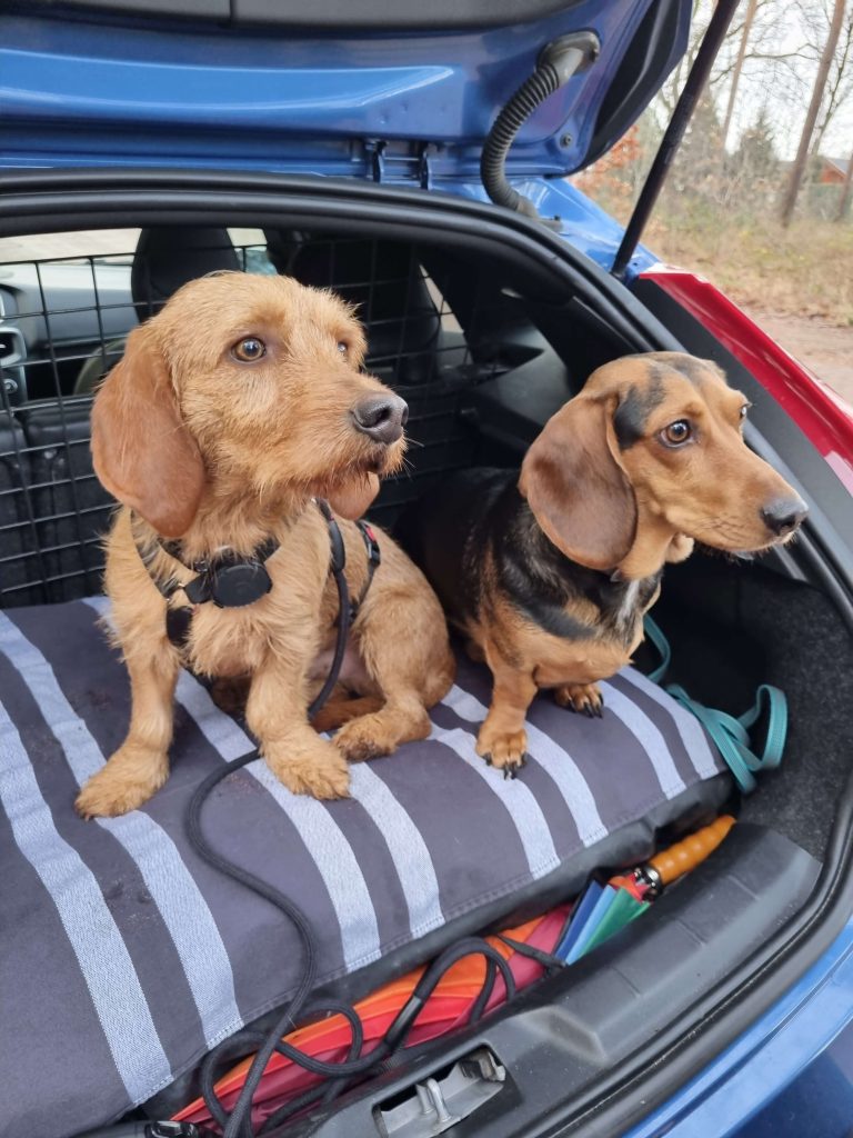 humprey uit spanje ACESHIN - bergwerk